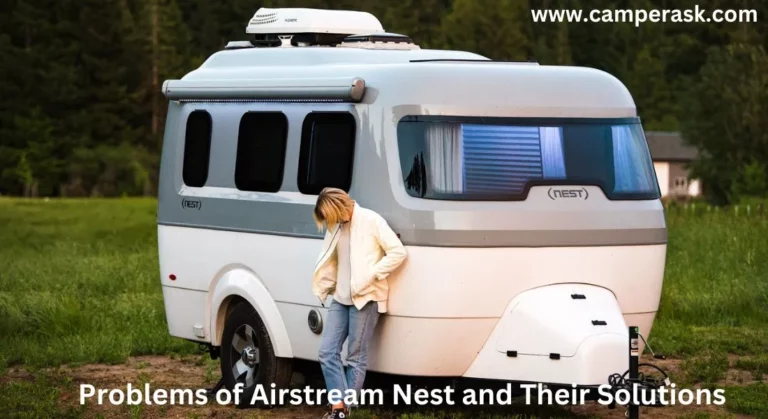 Most Common Airstream Nest Problems and Their Solutions